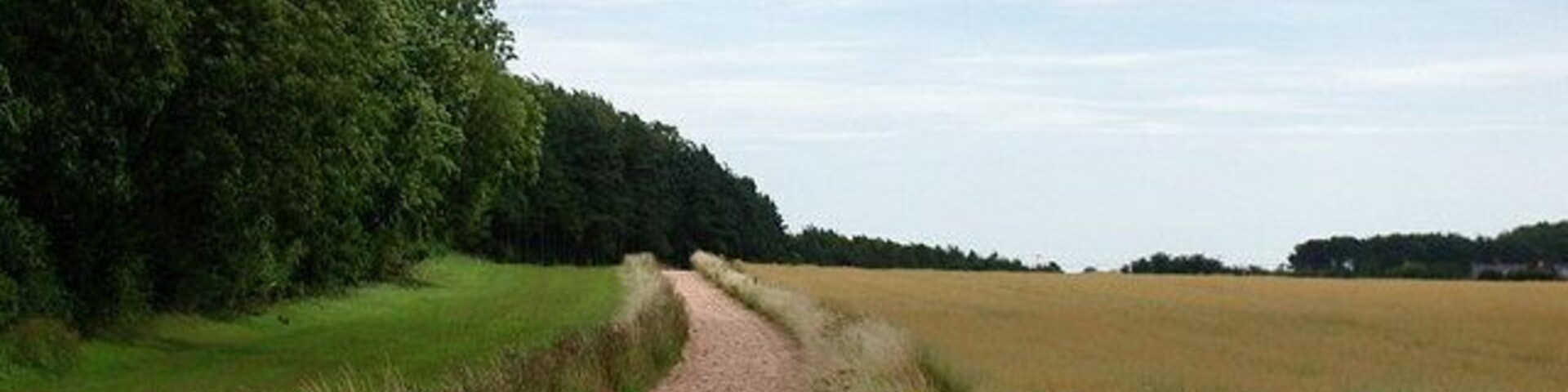 Farnton Hill Gallops, Long Riston, East Riding of Yorkshire, England. A training course for race horses has existed at Farnton Hill since the 19th century. A track of sand mixed with wool now runs alongside the public footpath between Long Riston and the parish boundary with Rise at the southeast corner of Farnton Plantations.