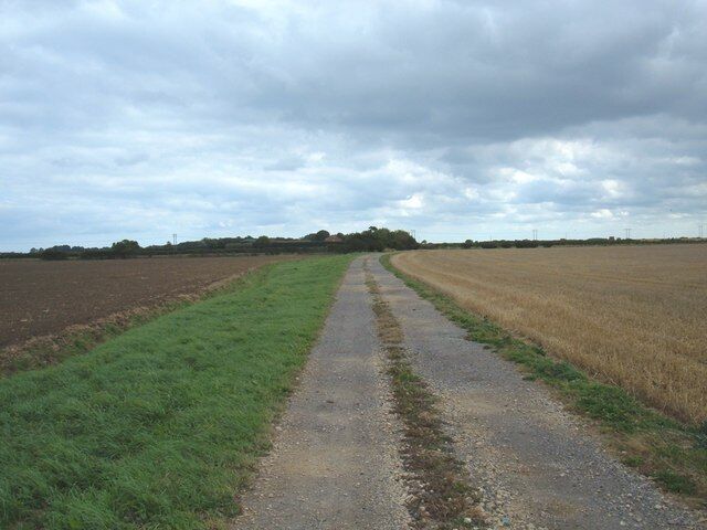 Track to Hatfield Grange, Great Hatfield, East Riding of Yorkshire, England.