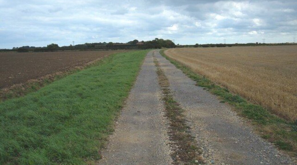 Track to Hatfield Grange, Great Hatfield, East Riding of Yorkshire, England.