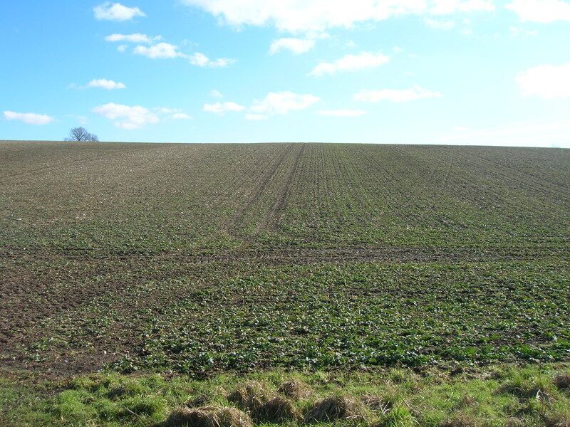 Farmland off Westfield Road