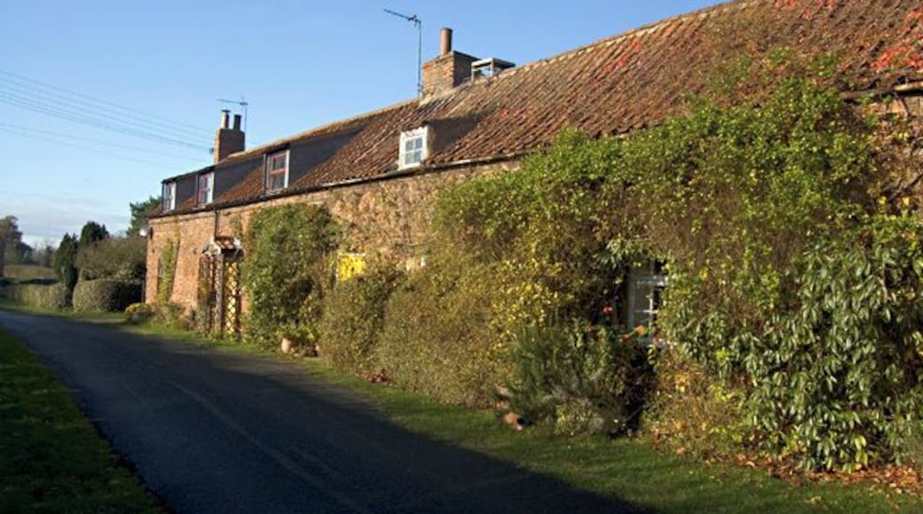 Sproatley cottages Row of cottages on Boggle Lane on the southern edge of the village