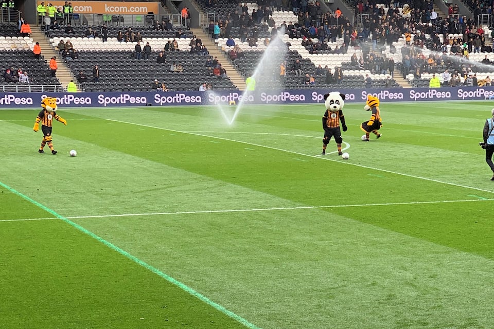 A soccer field with players in tiger mascot costumes, a water fountain, and spectators in the stands.