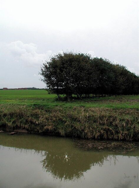 Winestead Drain, Patrington Haven, East Riding of Yorkshire, England. Field boundary north of Bleak House Farm Cottage on Sunk Island, looking across Winestead Drain near Patrington Haven.