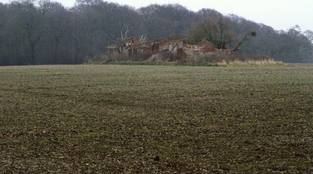Roe Hill Farm (ruin), south-south-east of Old Ellerby, East Riding of Yorkshire, England. Even more dilapidated than the previous photograph!