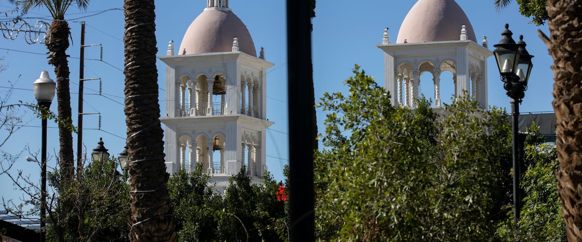 Two white domed towers with crosses, surrounded by palm trees and greenery.