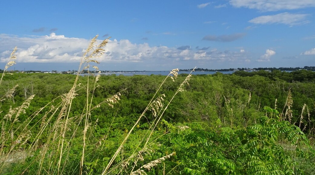 The Coquina Baywalk on Leffis Key contains 1,500 linear feet of boardwalks that meander through the mangrove forest, a 26ft tall hill that allows a 360 degree view including over Sarasota Bay, tidal ponds and the preserve is a nationally significant estuary.