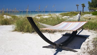 Inviting Hammock on Bradenton Beach