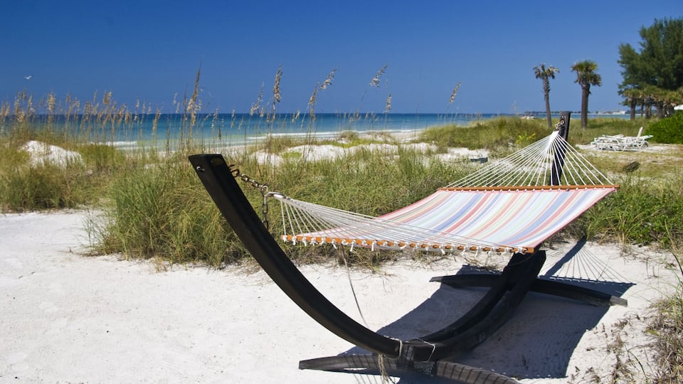 A hammock on a sandy beach with tall grasses and palm trees in the background.