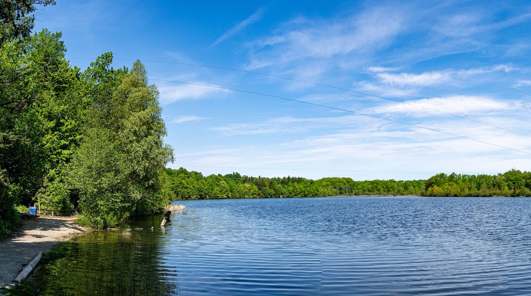 View of Heart Lake Conservation Park in Brampton during sunny summer day.