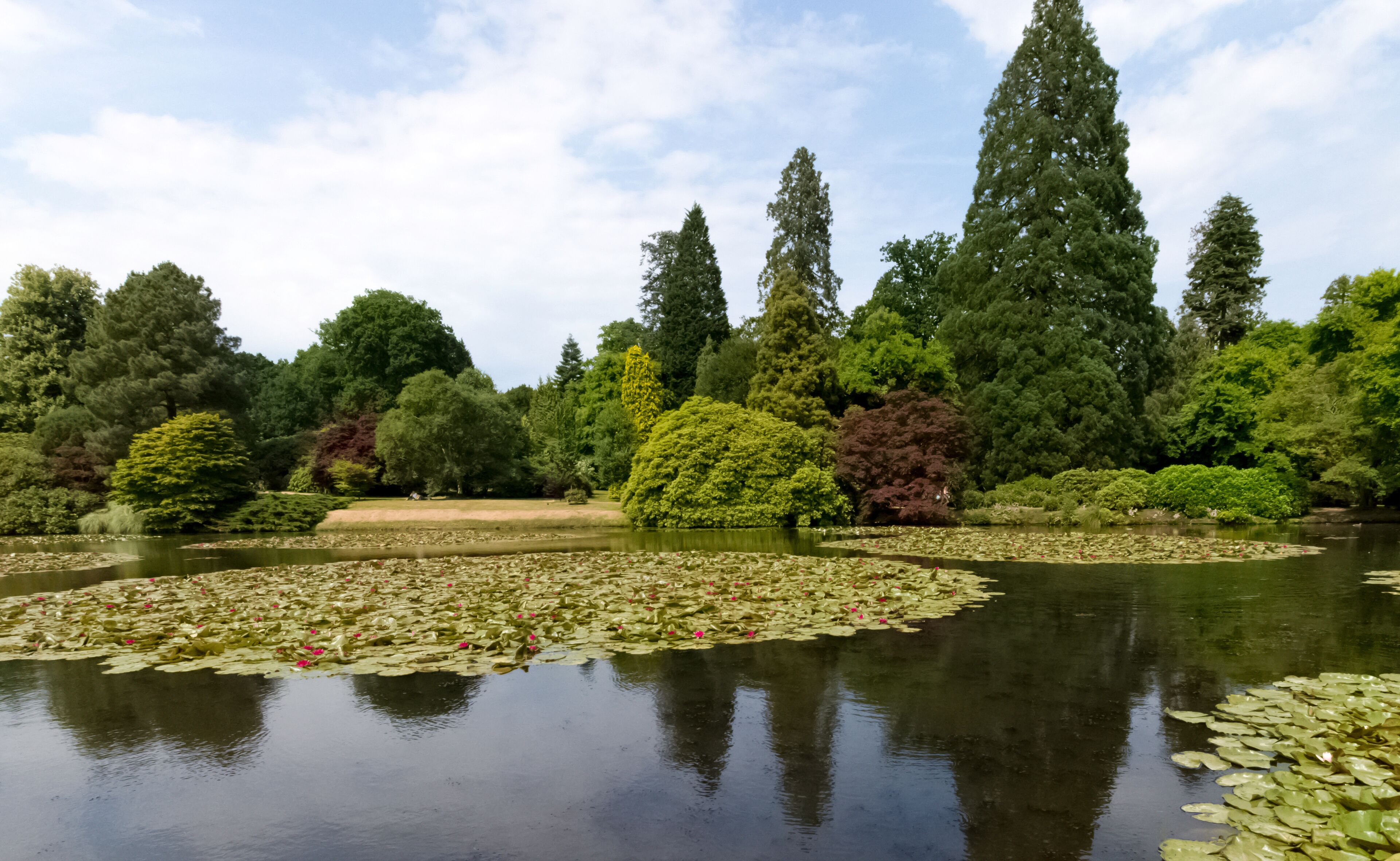 アックフィールド