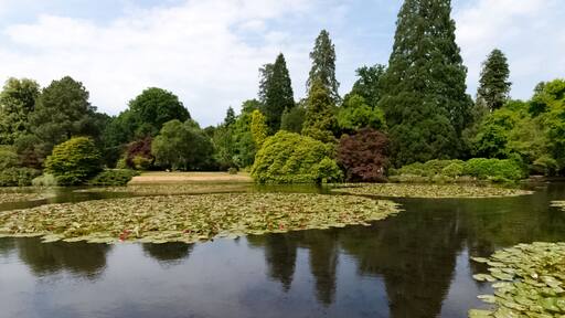 アックフィールド