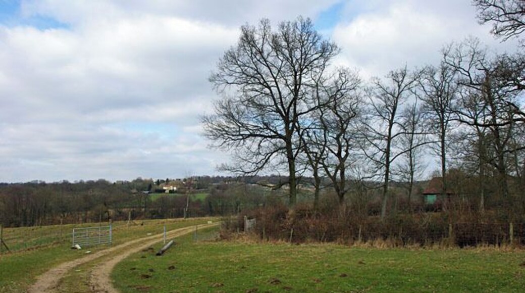 Track to barn The track curves round behind a pond in the trees on the right. There was a name on the gate, so the barn may be converted, or about to be so. High Hurstwood is in the distance.
