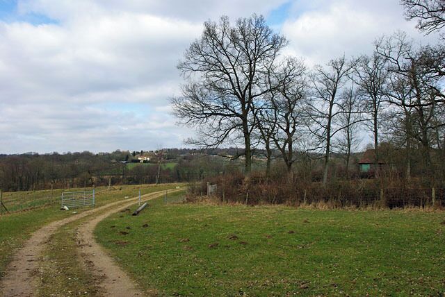 A rural path leading through a field with leafless trees and a fence.