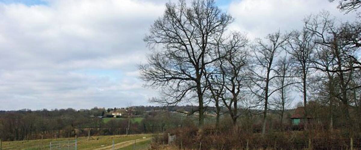 A rural path leading through a field with leafless trees and a fence.