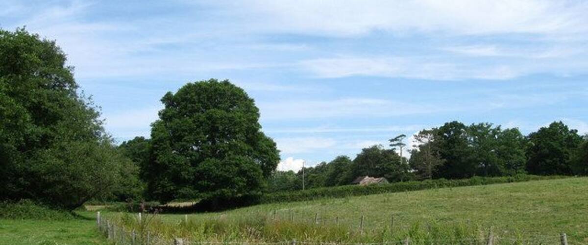 Marshy Ground near White Coppice Farm Just beyond a junction of footpaths next to High Hurstwood Stream. Some of the farm buildings can be seen to the right.