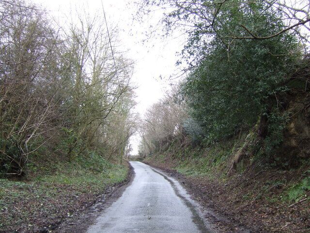 Fowly Lane This deeply banked section of the lane is the only stretch within the gridsquare.