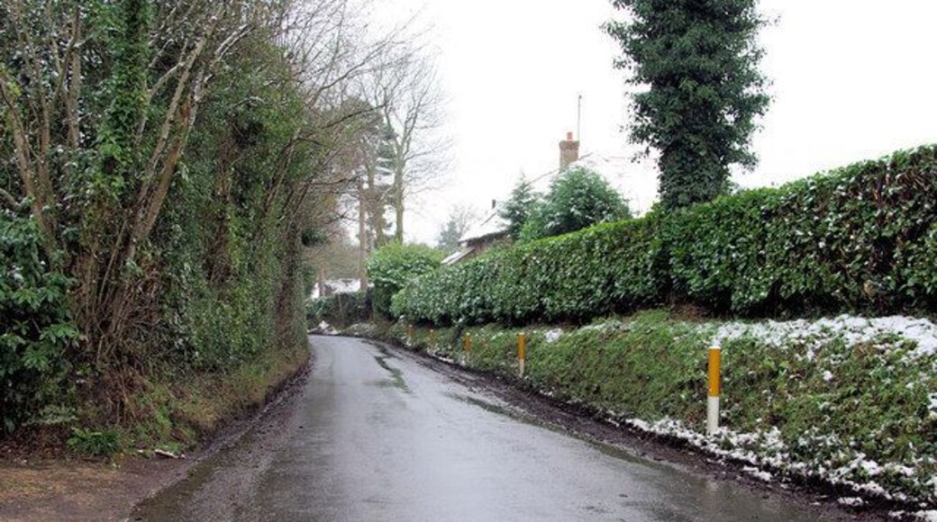 Rocks Lane Overnight snow is melting away.