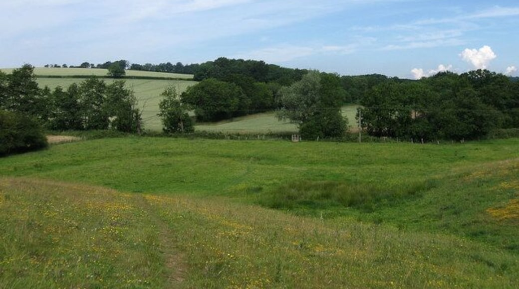 Heading to the River Uck Descending into the valley towards the River Uck marked by the vegetation and footbridge in the middle distance