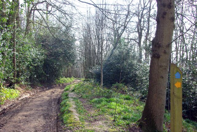 Bridleway through Waste Wood The footpath past Waste Farm towards Hole Farm starts on the left.