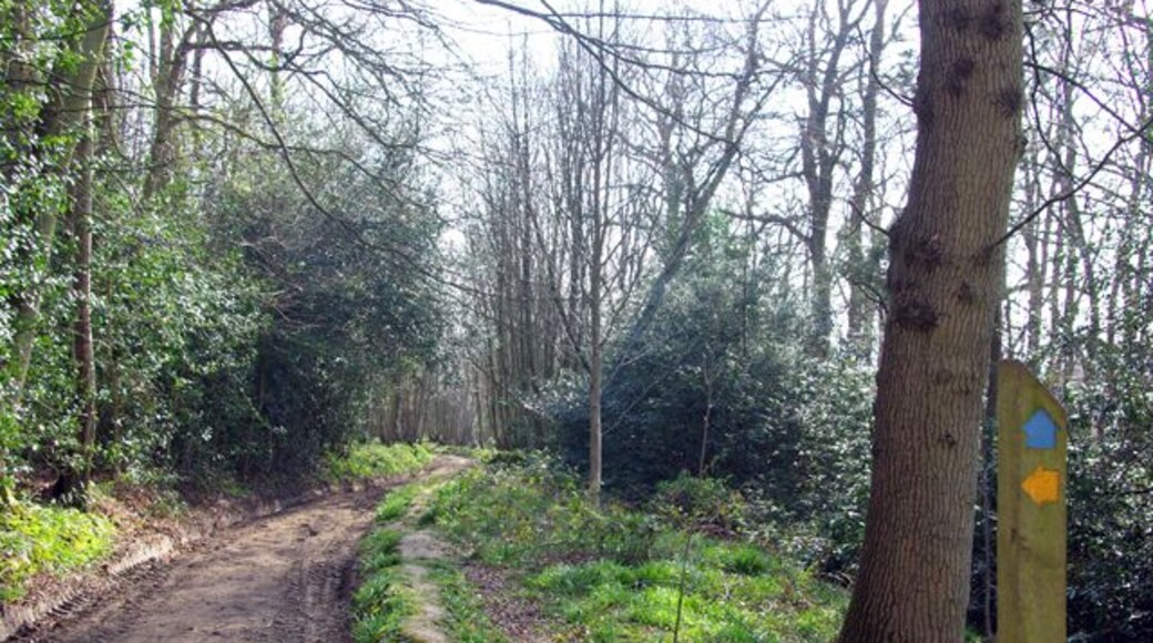 Bridleway through Waste Wood The footpath past Waste Farm towards Hole Farm starts on the left.
