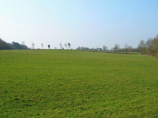 Field Boundary near Brownings Wood Taken from the footpath that links Hollow Lane with Dower House Farm.