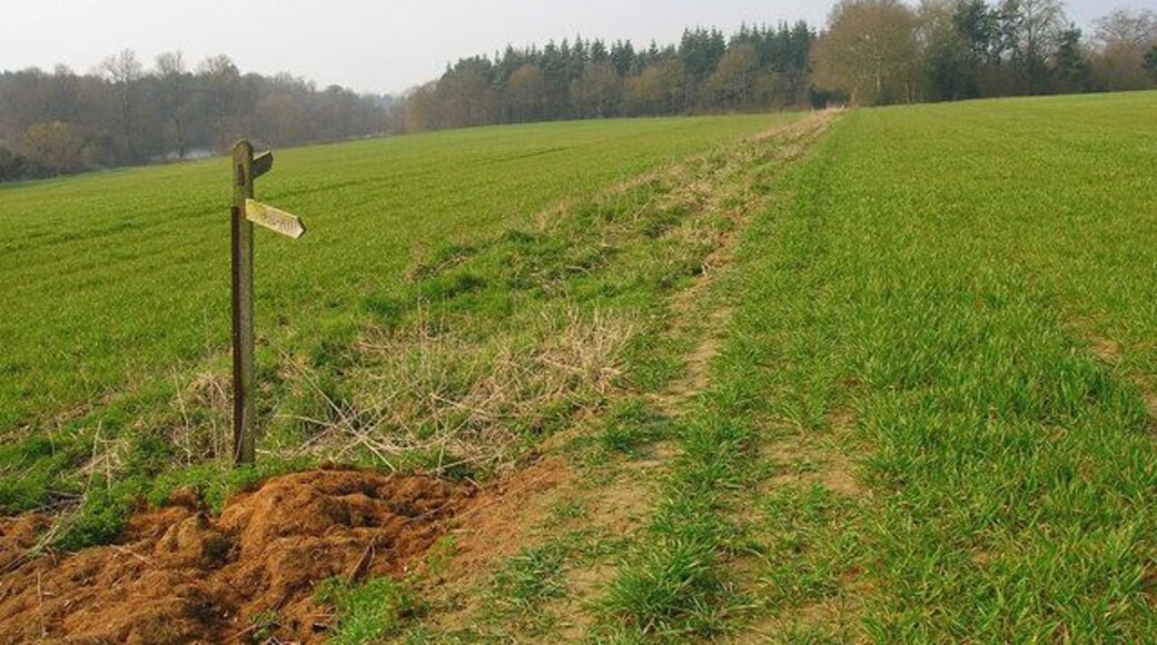 Newplace Wood Part of the New Place estate, one of whose lakes can just be glimpsed to the left of the footpath signpost.