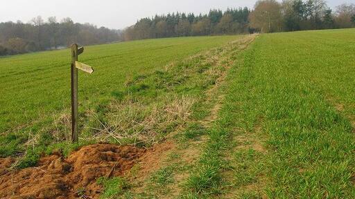 Newplace Wood Part of the New Place estate, one of whose lakes can just be glimpsed to the left of the footpath signpost.