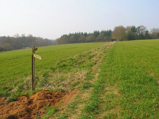 A rural landscape with a dirt path leading through a green field, a wooden signpost, and a line of trees in the background.