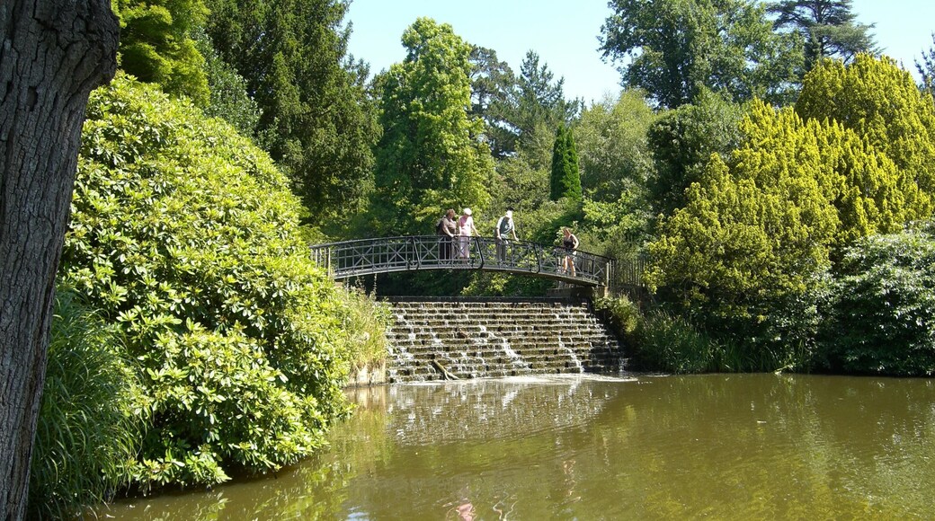 Sheffield Park Gardens