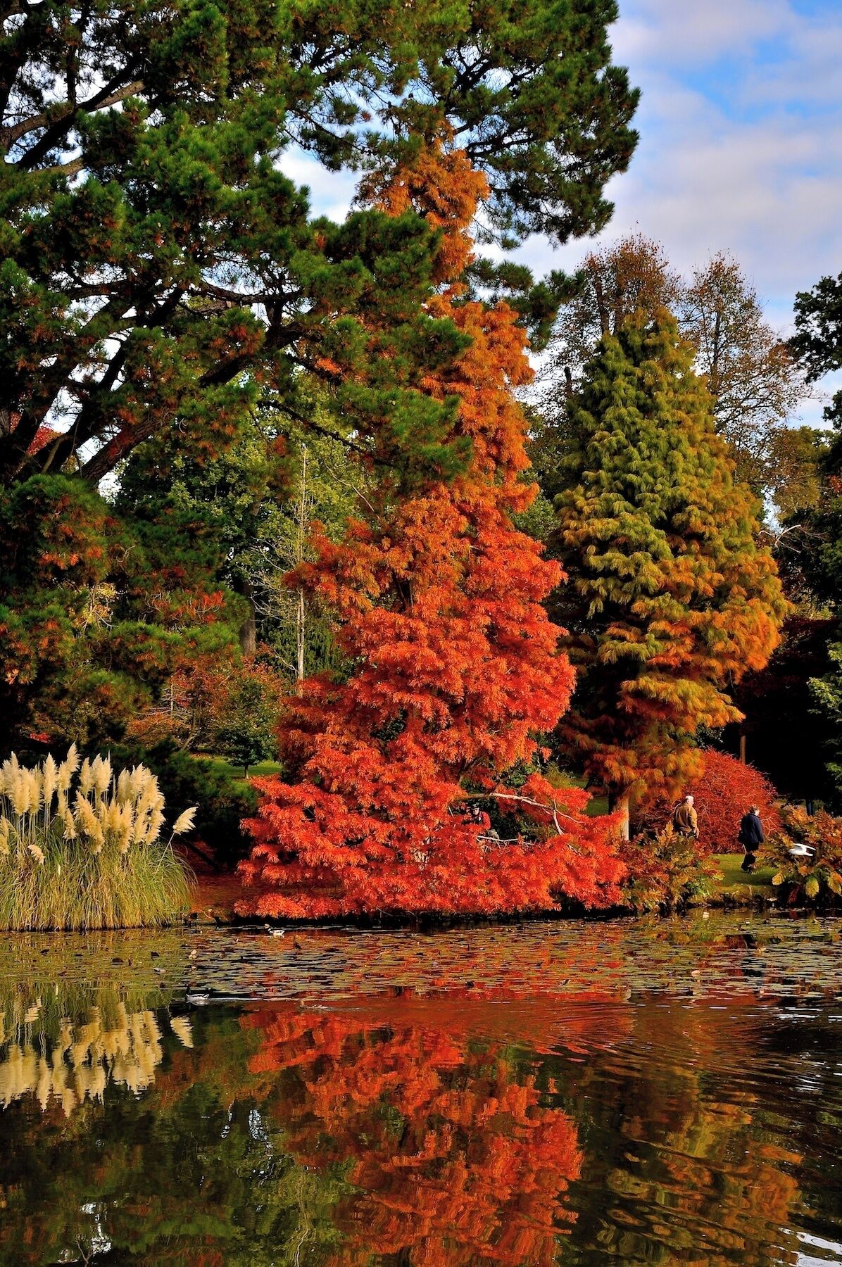 Park at Autumn Ten Foot Pond