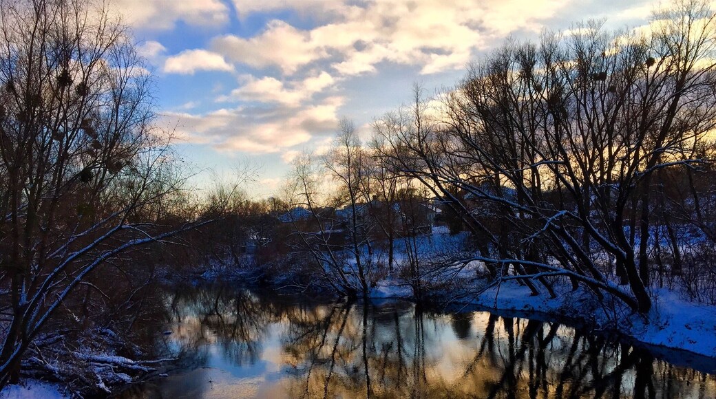 Cold beauty. I love bridges and the views they offer. Temperature: -9C