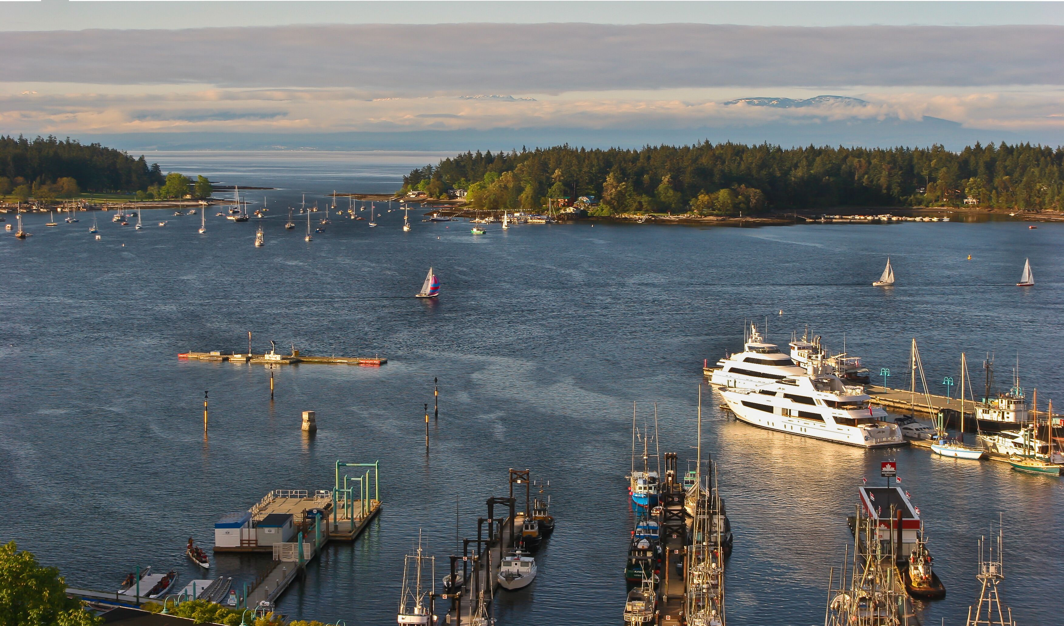 Protected Nanaimo Harbour and The Georgia Straits, Nanaimo, Vancouver Island, British Columbia, CAN