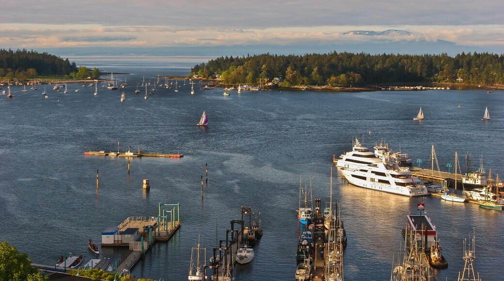 Central Nanaimo