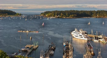 Protected Nanaimo Harbour and The Georgia Straits, Nanaimo, Vancouver Island, British Columbia, CAN