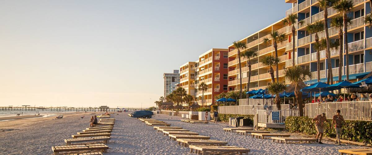 A beach with wooden benches and a row of palm trees.