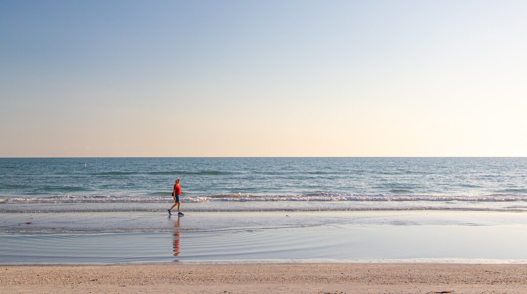 Redington Beach showing a sandy beach, a sunset and general coastal views