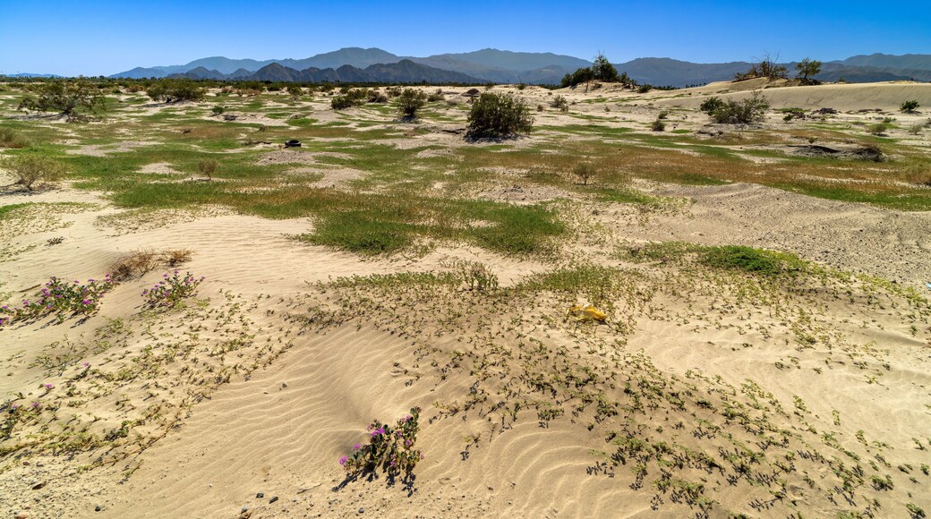 North Bermuda Dunes in Palm Desert - as seen from Avenue 38