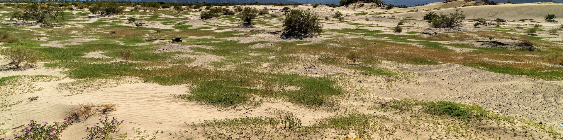 North Bermuda Dunes in Palm Desert - as seen from Avenue 38