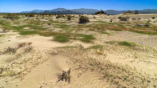 North Bermuda Dunes in Palm Desert - as seen from Avenue 38