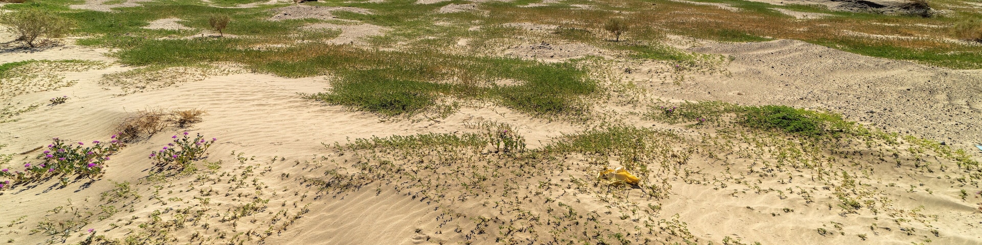 North Bermuda Dunes in Palm Desert - as seen from Avenue 38