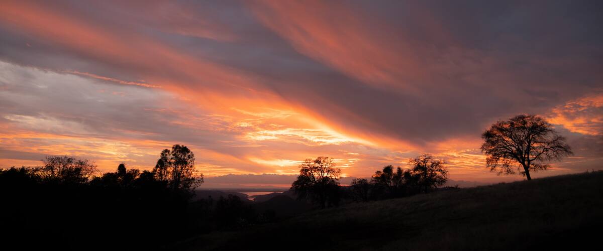 A sunset with a vibrant sky, silhouetted trees, and a distant view of a landscape.