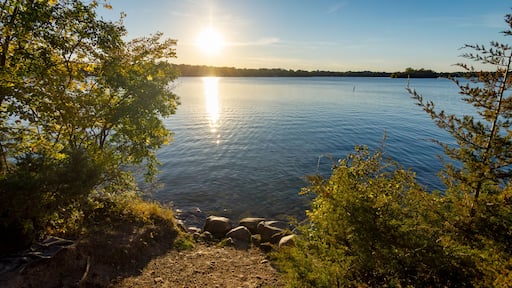 Waukesha