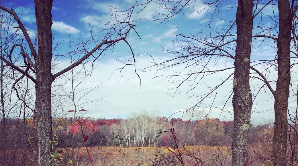 I love this nature center! It's always changing with the seasons!