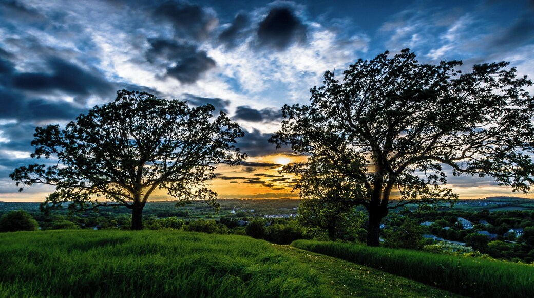 500px Photo ID: 36655356 - http://randy-scherkenbach.artistwebsites.com/featured/sunset-between-the-oaks-randy-scherkenbach.htmlSunset view from the top of Glacier Cone Park in Waukesha, WI USA