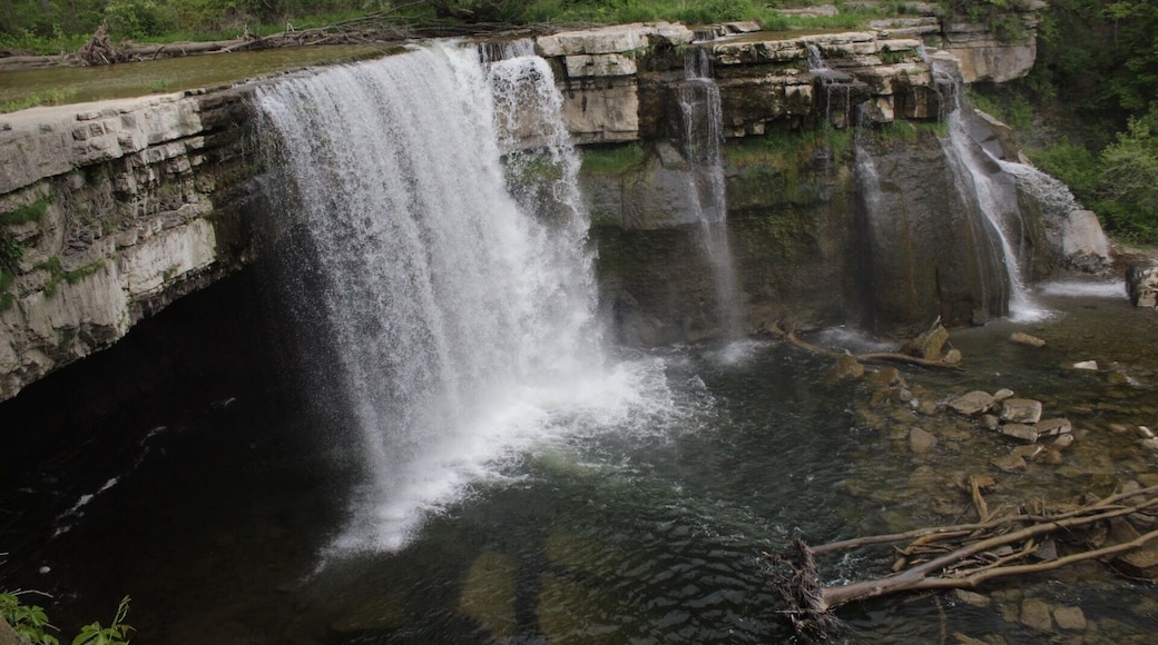 May 2017-what a difference 😍😍