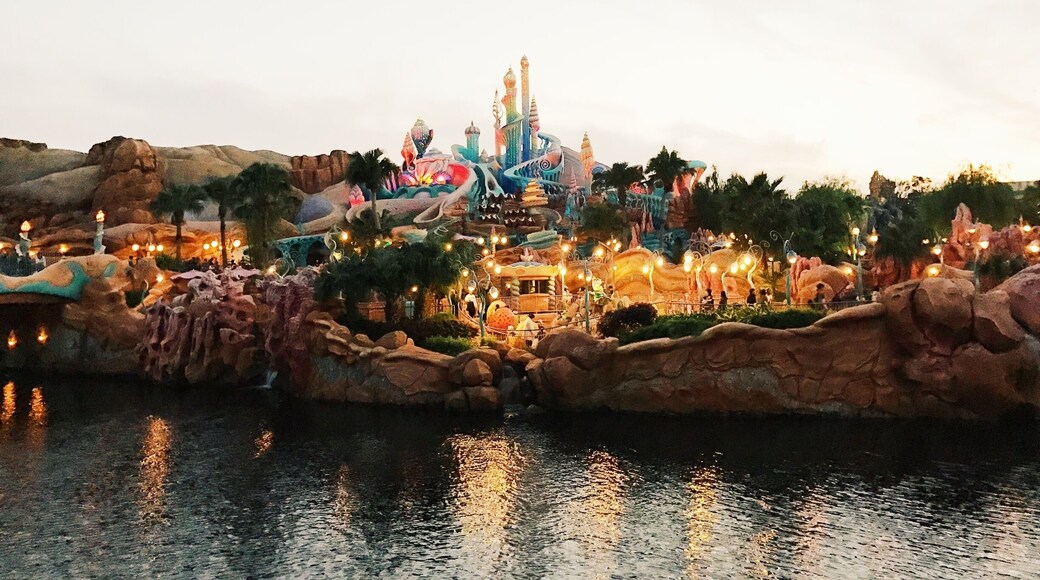 Tip: Tokyo DisneySea sells discounted admission tickets after 6pm 🙌🏽 #lifeatexpedia #onabudget