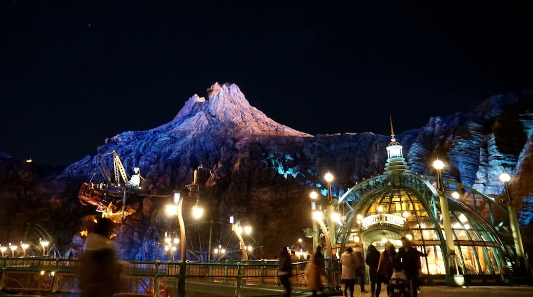 Tokyo DisneySea is part of the Tokyo Disney Resort, which opened in 2001 under the theme "Nautical exploration and adventure."
Technically not located in Tokyo but the neighboring prefecture of Chiba, Tokyo DisneySea is a popular amusement park for people of all ages. Personally I like DisneySea better than Disneyland because the streets are wider, have more places to sit, and most of the waiting time for rides is indoors, which makes it nicer for those sweltering hot days in the summer.
Oh and they also serve alcohol :)
For those who think that the 1day ticket is pricy (at 6,900 yen for adults, 4,500 yen for kids, it really is) but would still like to go, they also provide an after 3pm passport for 5,400 yen (3,500 yen for kids) on weekends or an after 6pm passport for 4,200 yen. Or if you still want to go the whole day, you can find slightly cheaper ones at discount ticket shops.
Closest Station: Maihama Station on the JR Keiyo Line.