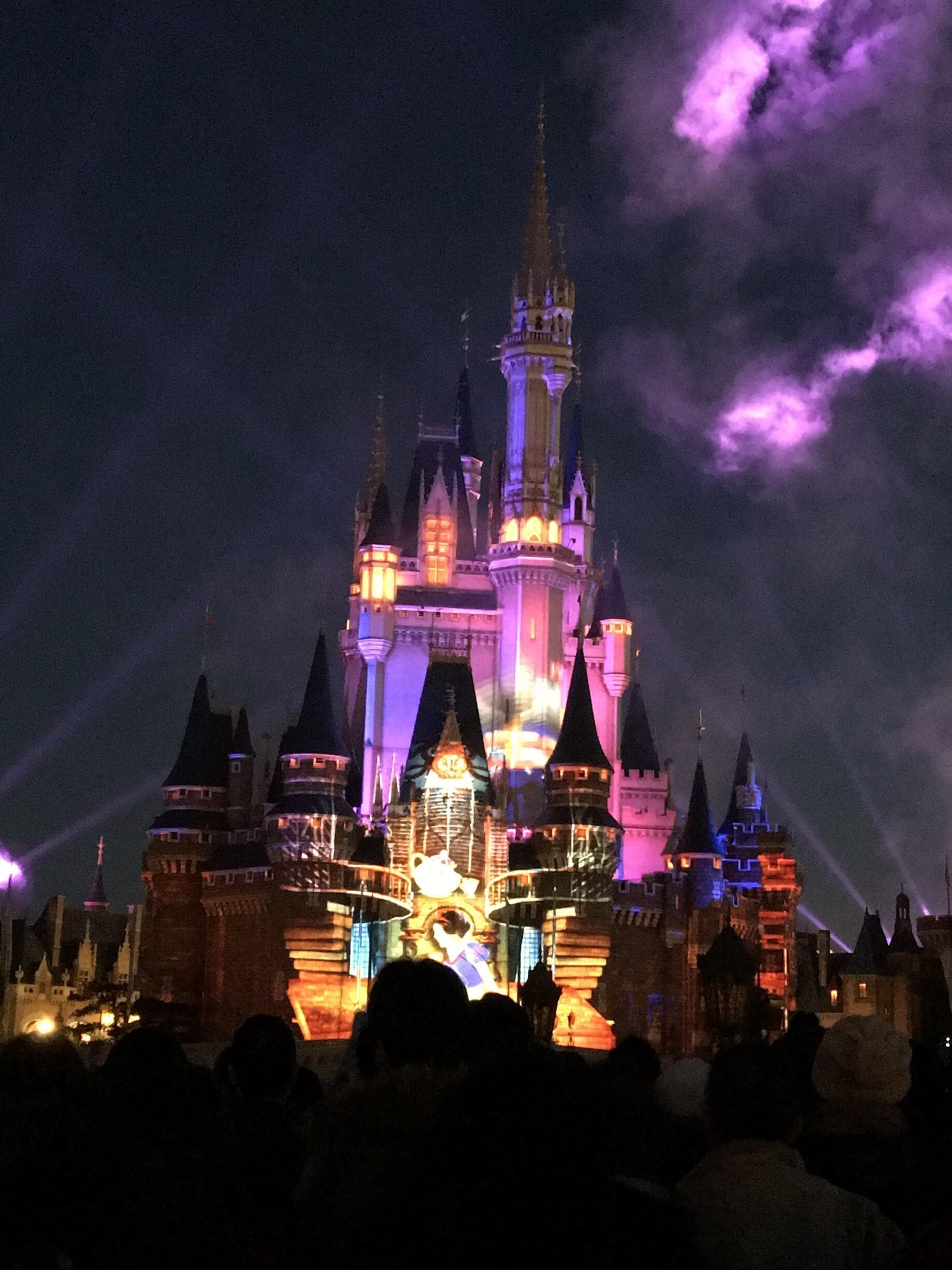Tokyo Disney Resort® Tours - Book Now | Expedia