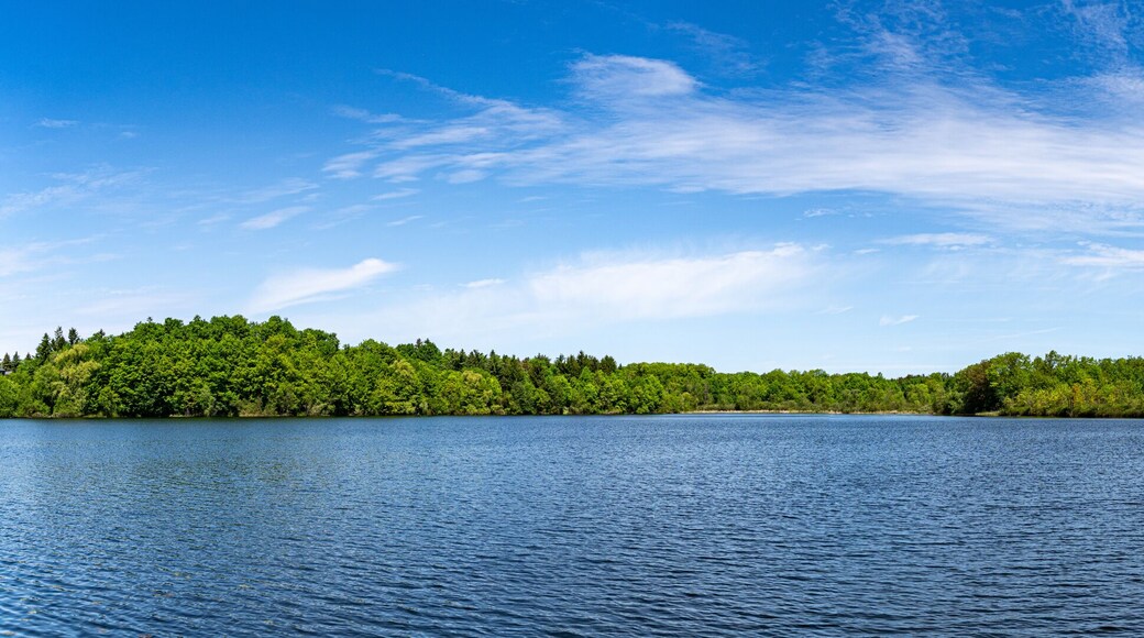 View of Heart Lake Conservation Park in Brampton during sunny summer day.