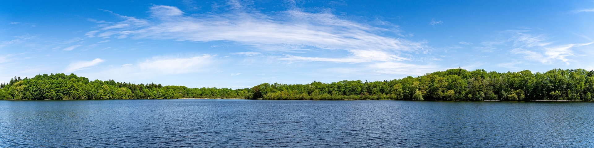 A calm lake with a dense forest on the opposite shore under a clear blue sky.